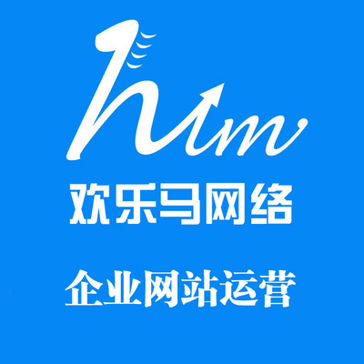 企業(yè)網(wǎng)站運營|企業(yè)網(wǎng)站運營公司-深圳歡樂馬網(wǎng)絡(luò)產(chǎn)品圖片高清大圖- 圖片庫