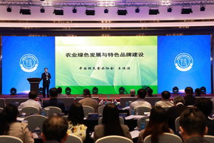 2019中國特色產業經濟高峰論壇在深圳隆重舉行