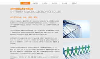 沙漠風(fēng) 深圳網(wǎng)站建設(shè)的卓越領(lǐng)航者——瑞嘉達(dá)（深圳）網(wǎng)站建設(shè)公司解析