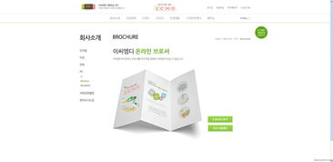 韓國ECMD食品企業(yè) 兒童友好型網(wǎng)站設(shè)計(jì)與創(chuàng)新交互體驗(yàn)